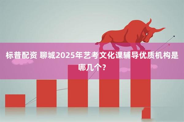 标普配资 聊城2025年艺考文化课辅导优质机构是哪几个？