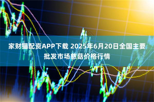 家财猫配资APP下载 2025年6月20日全国主要批发市场慈菇价格行情